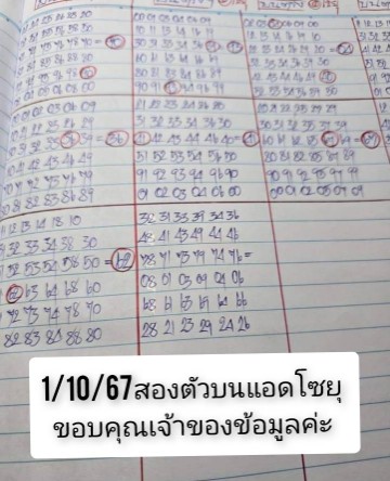 เลขดับลดต้นทุนหวยโชยุ